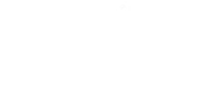 Logo Wendap - Diseño Web y Marketing Online - Footer